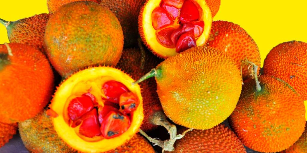 Gac Fruit Top 5 Health Benefits of this Superfruit